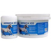  Arnica Ice